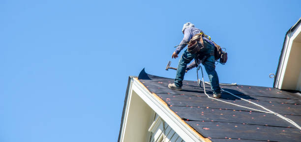 Best Residential Roof Replacement  in Balfour, NC