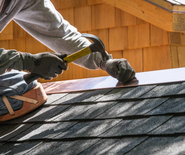 Best Metal Roofing Contractor  in Balfour, NC